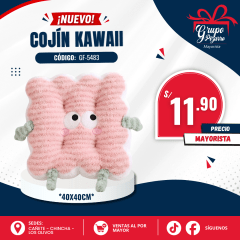 COJIN GALLETA