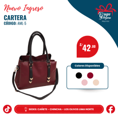 CARTERA AML-5