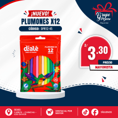 PLUMON DELGADO X12 DIALE BOLSA