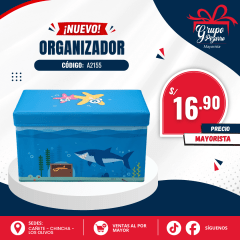 CAJA ORGANIZADORA 55