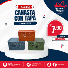 CANASTA PLAST
