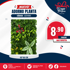 PLANTA DECOR