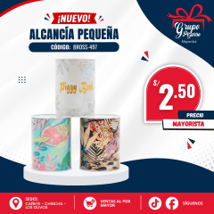 ALCANCIA CHICA