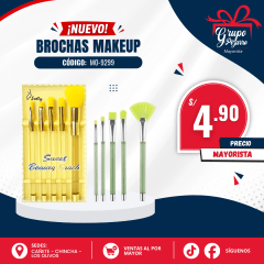 SET DE BROCHAS FEY