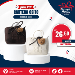 CARTERA L358