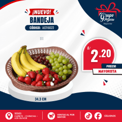 BANDEJA AJ316022