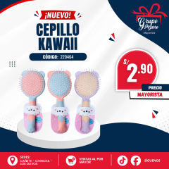 CEPILLO CABELLO 64