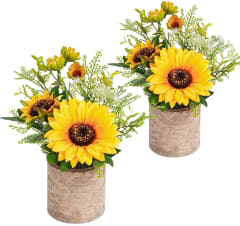 GIRASOL 9565