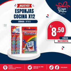 ESPONJA BLISTER