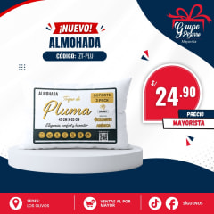 ALMOHADA   TOQUE PLUMA