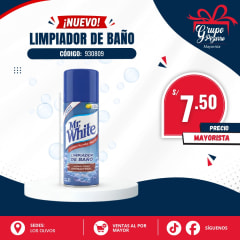 LIMPIADOR DE BAÑO MR. WHITE