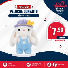 PELUCHE CONEJO C/OVEROL