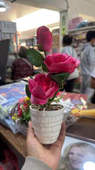FLORES ARTIFICIALES AM-5