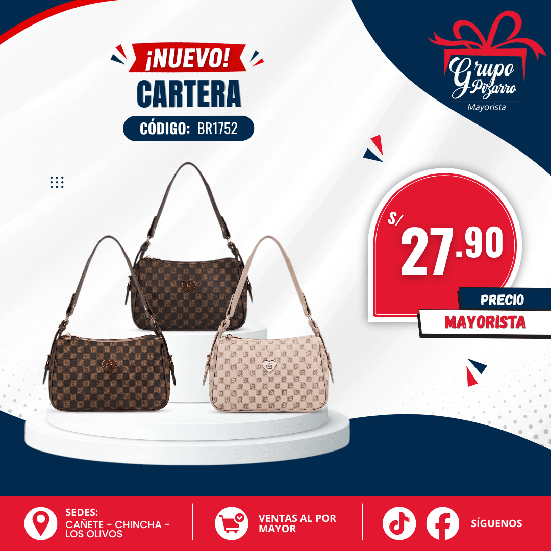 CARTERA CUADROS1