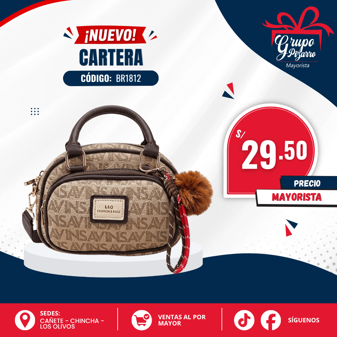 CARTERA D MANO1