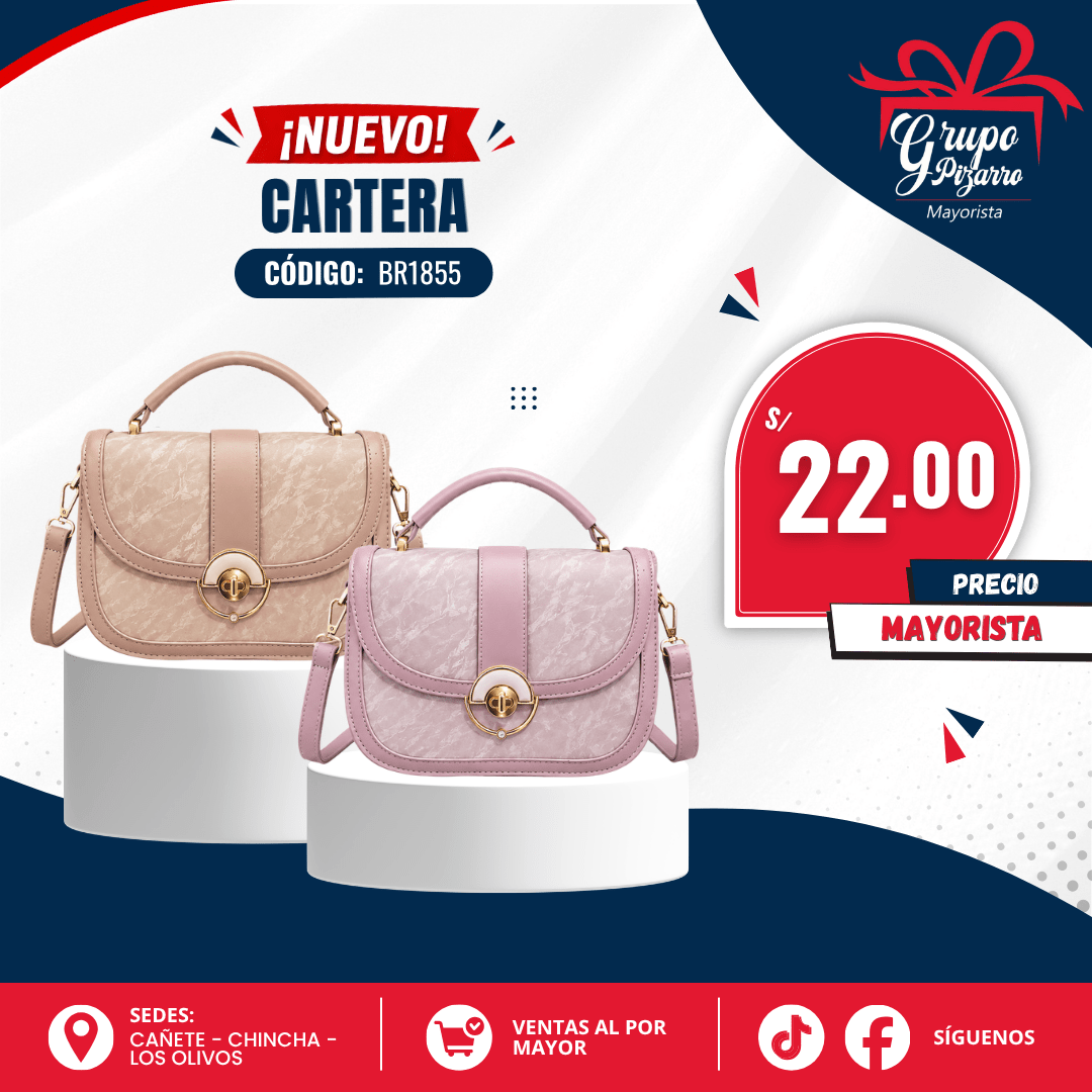 CARTERA DE MANO1