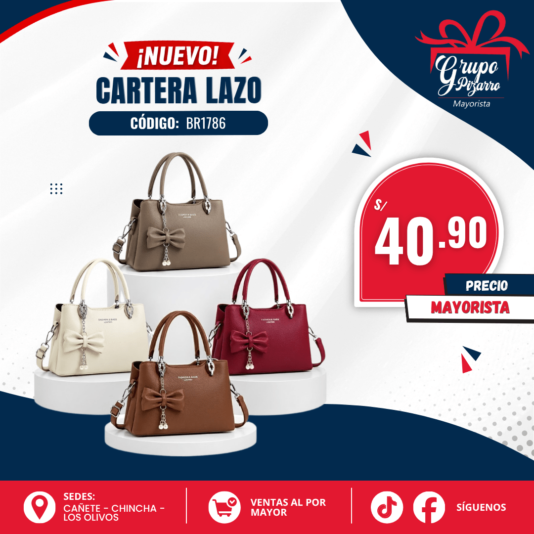 CARTERA ASA GOTITS1