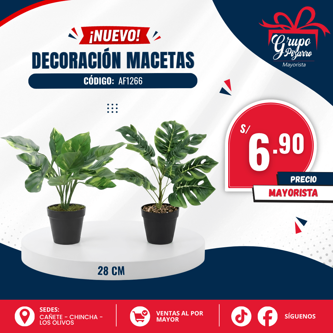 MACETAS PLANTA1