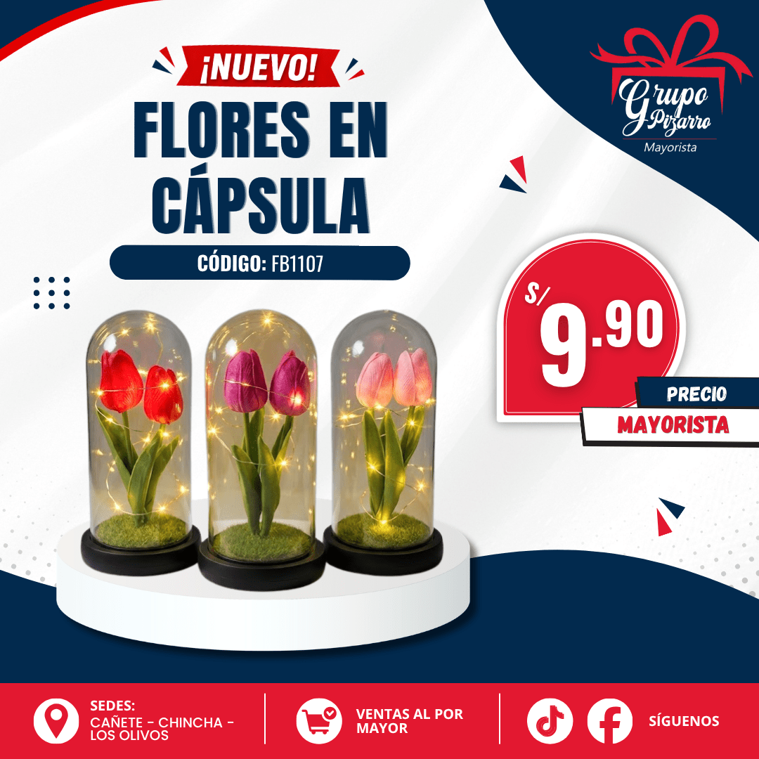 RECUERDO CUPULA1