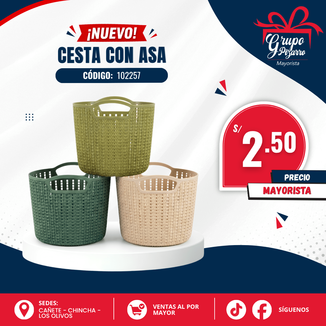 CESTA 1022571