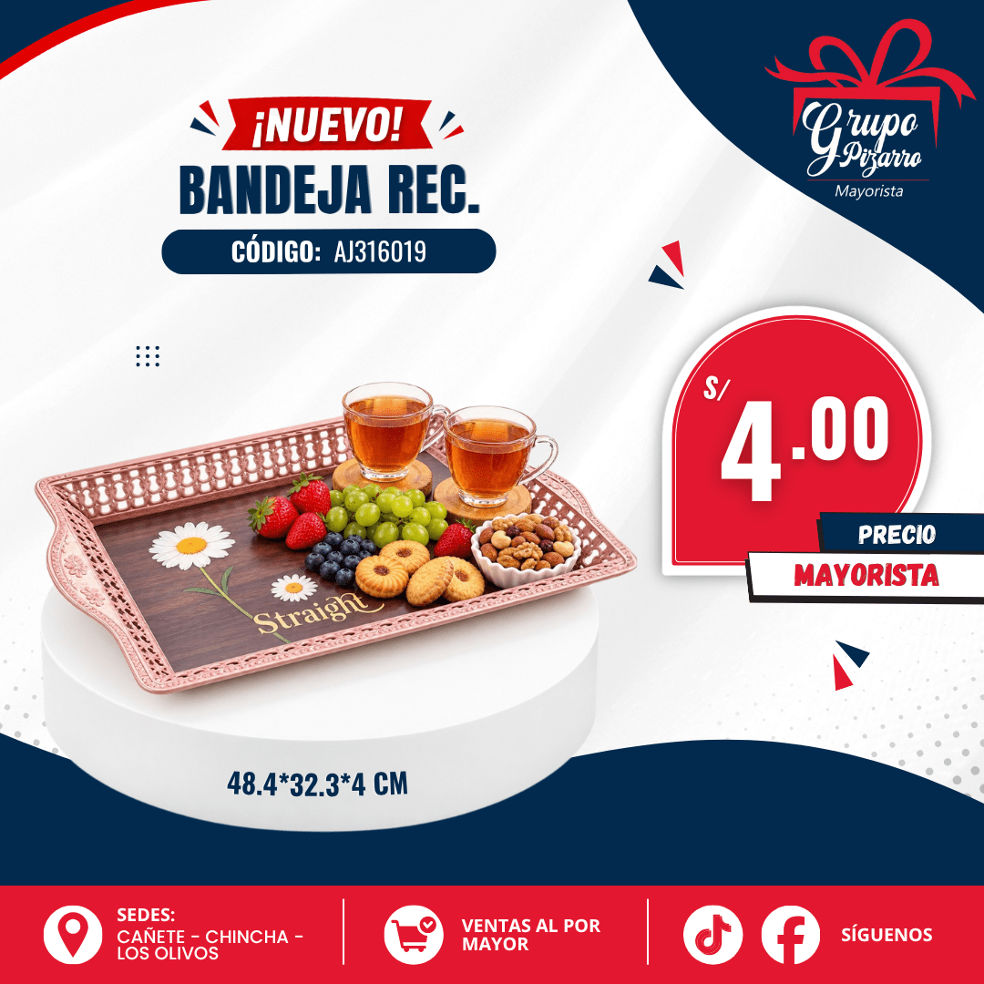 BANDEJA AJ3160191
