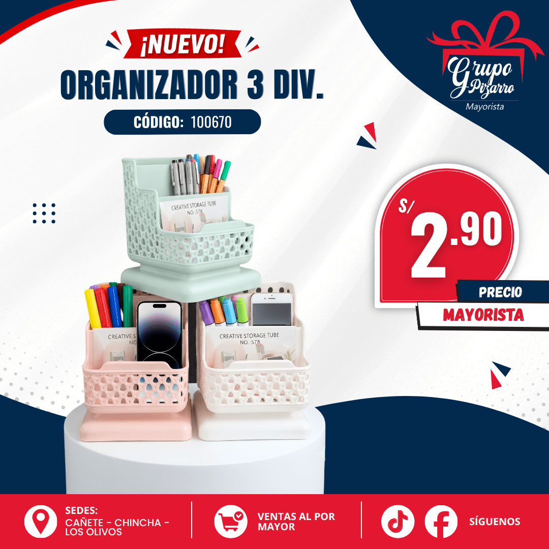 ORGANIZADOR2