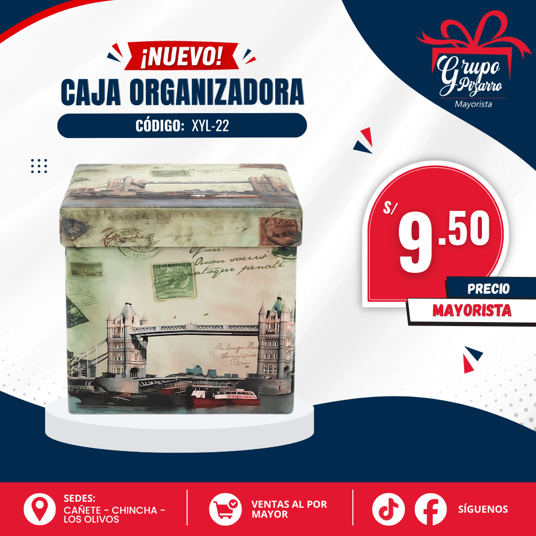 CAJA ORGANIZADORA1