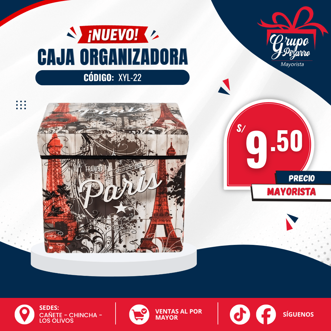 CAJA ORGANIZADORA2