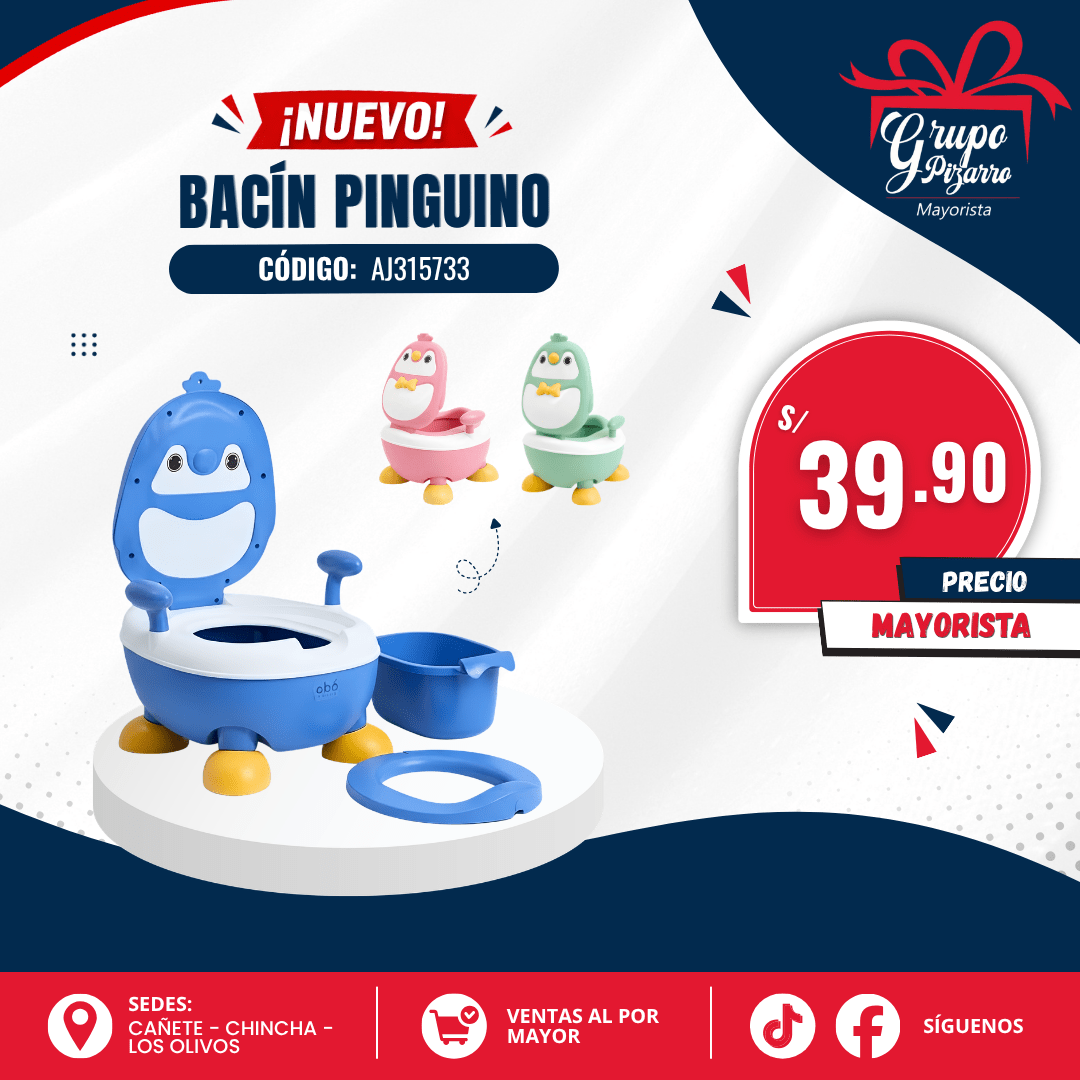 BACIN DISEÑOS1