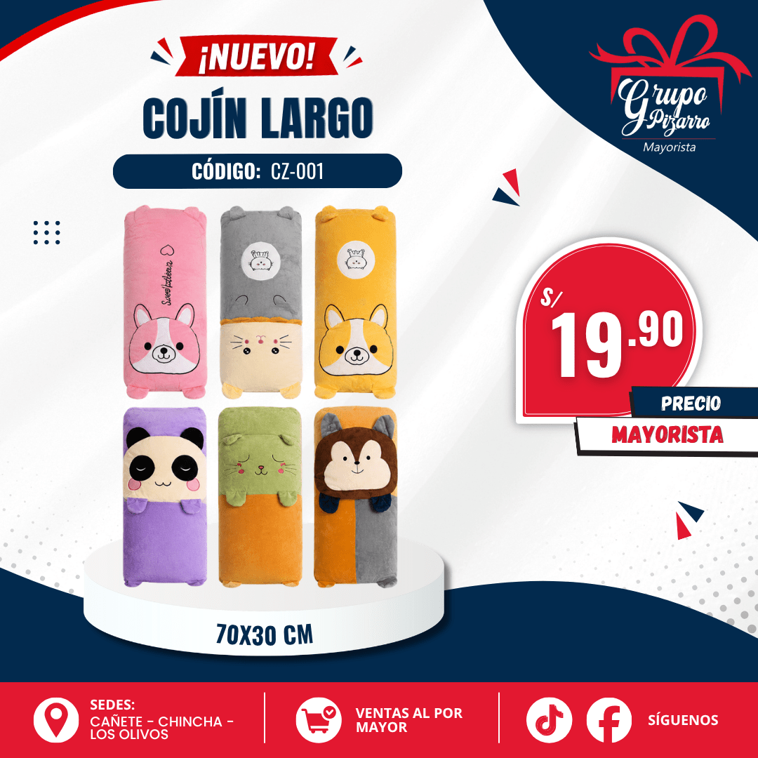 COJIN KAWAII LARGO1
