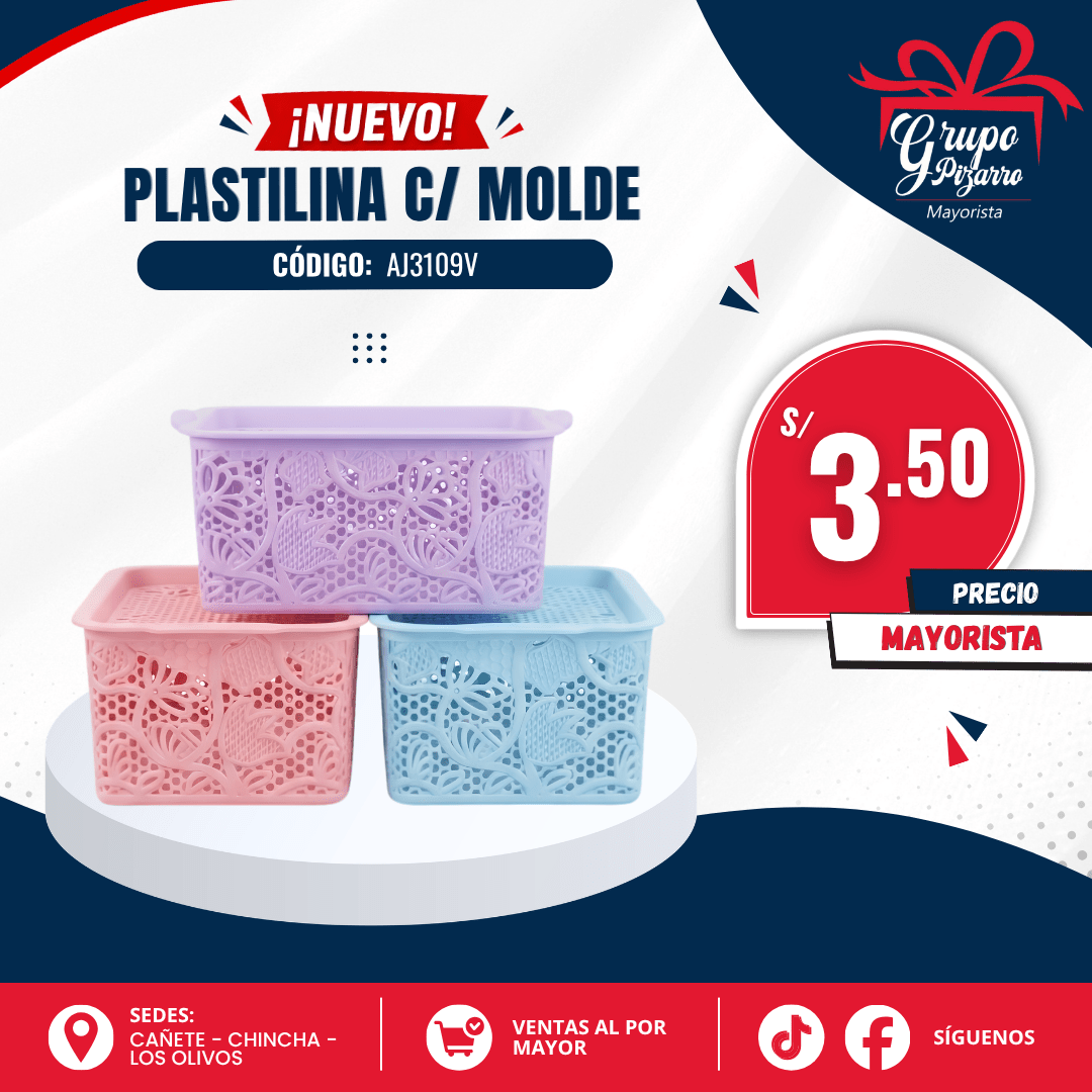 CANASTA CON TAPA1