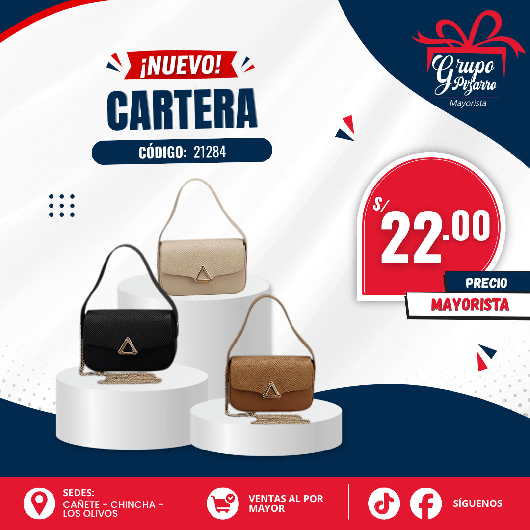 MINI CARTERA1