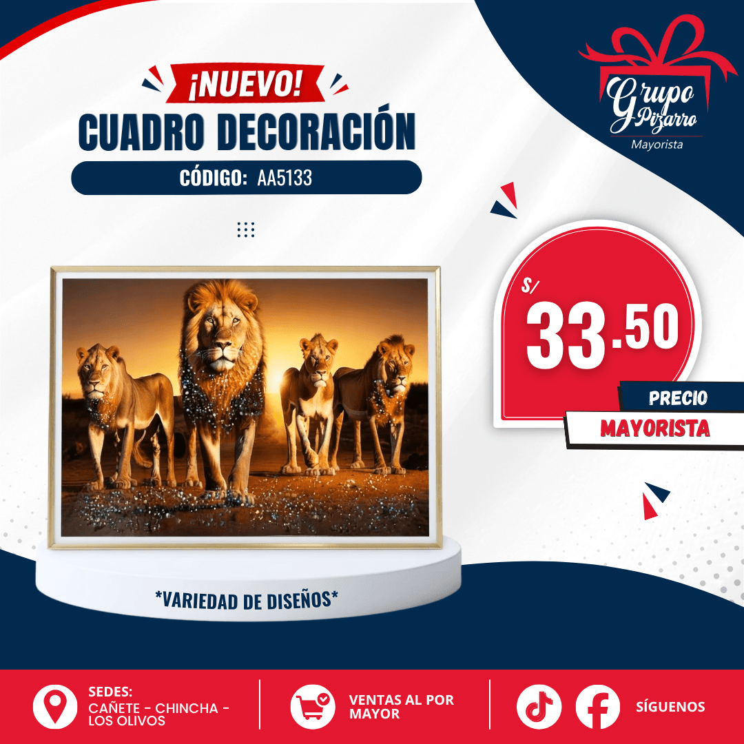 CUADRO DECORATIVO  AA51331