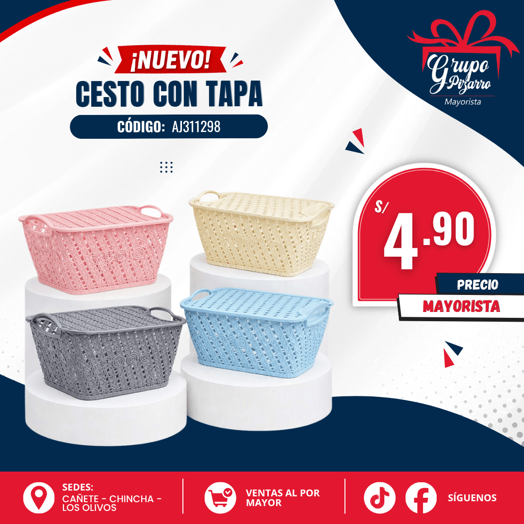 CANASTA CON TAPA MEDIANA1