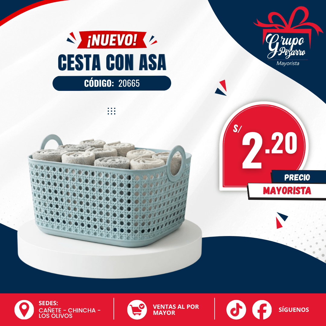 CANASTA 206651