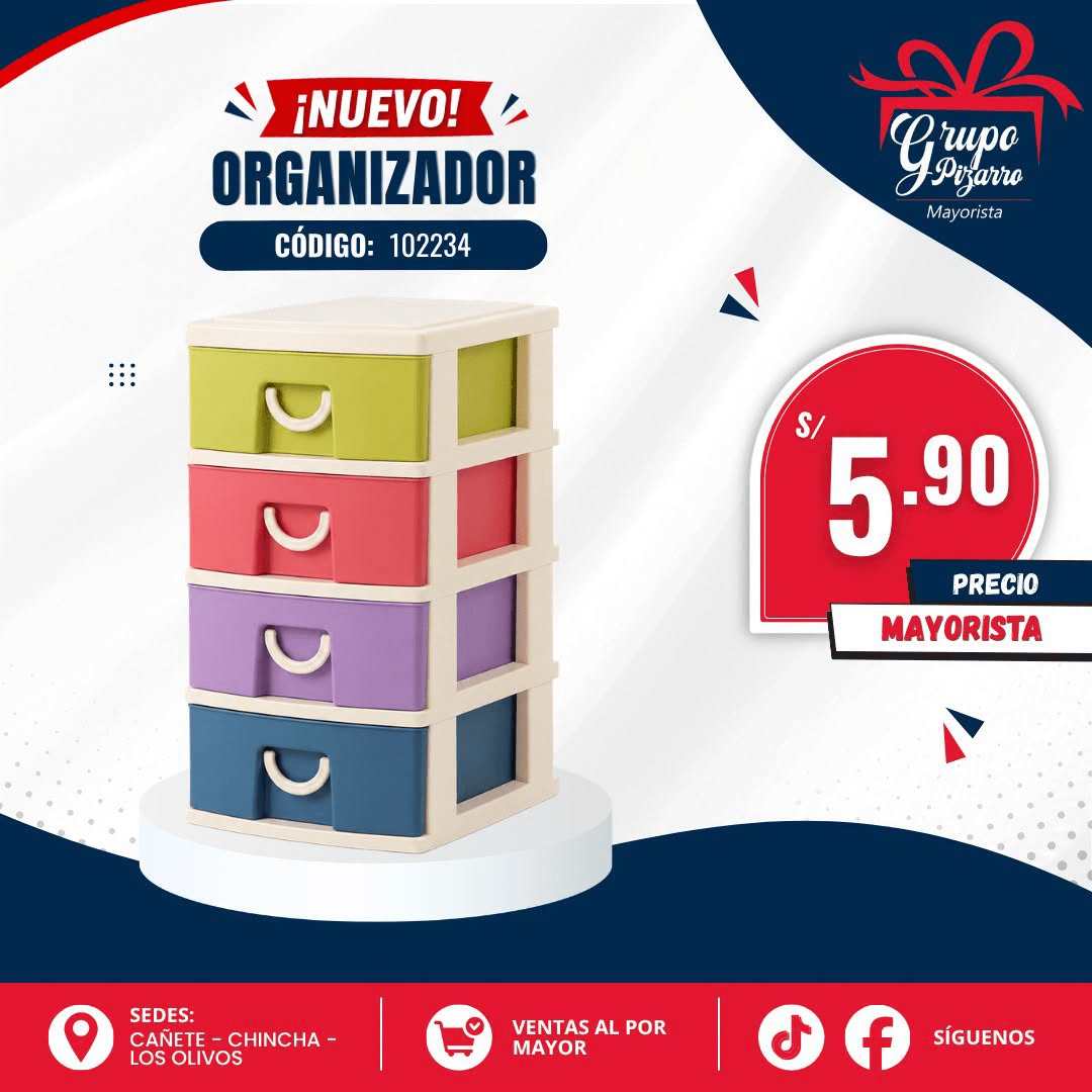 MINI ORGANIZADOR1