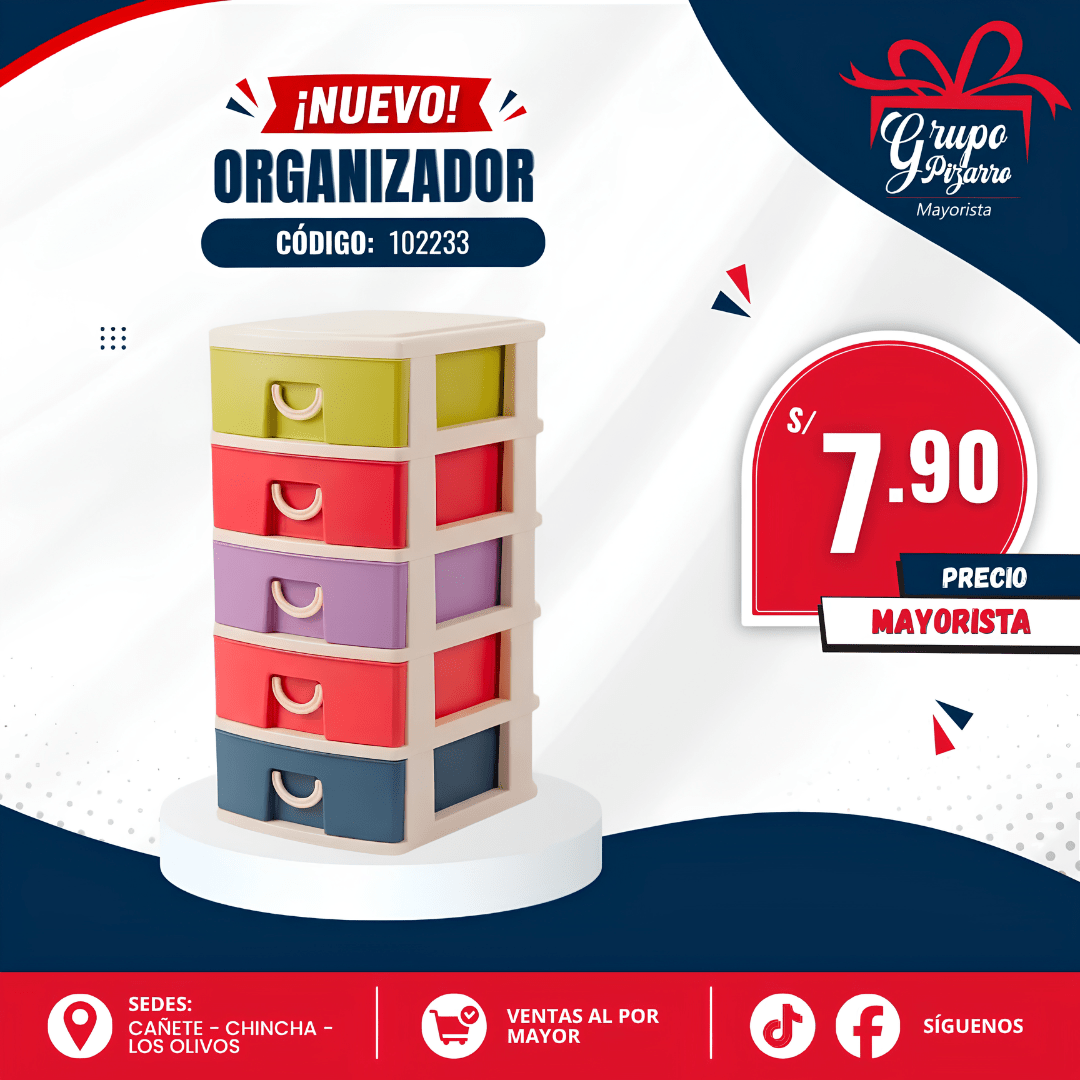 ORGANIZADOR1