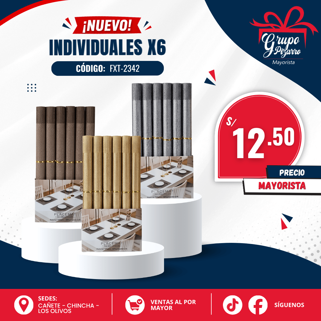 INDIVIDUALES MICA1