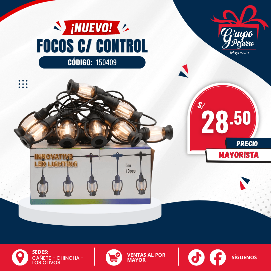 GUIRNALDA FOCO C/ CONTROL1