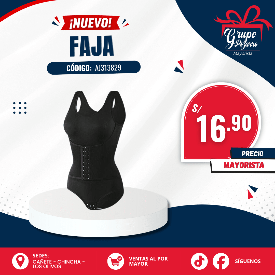 FAJA 291
