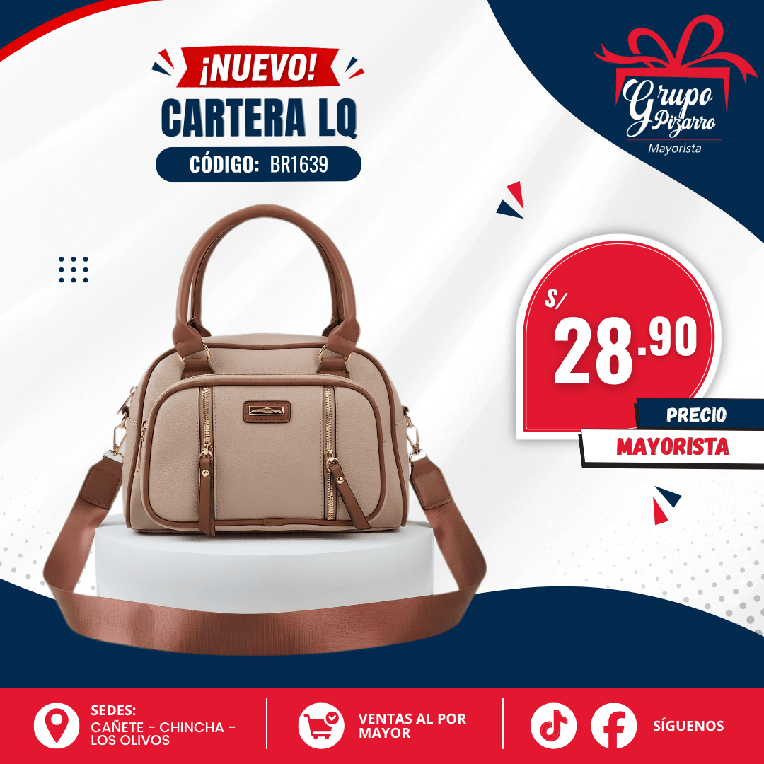 CARTERA BR16391