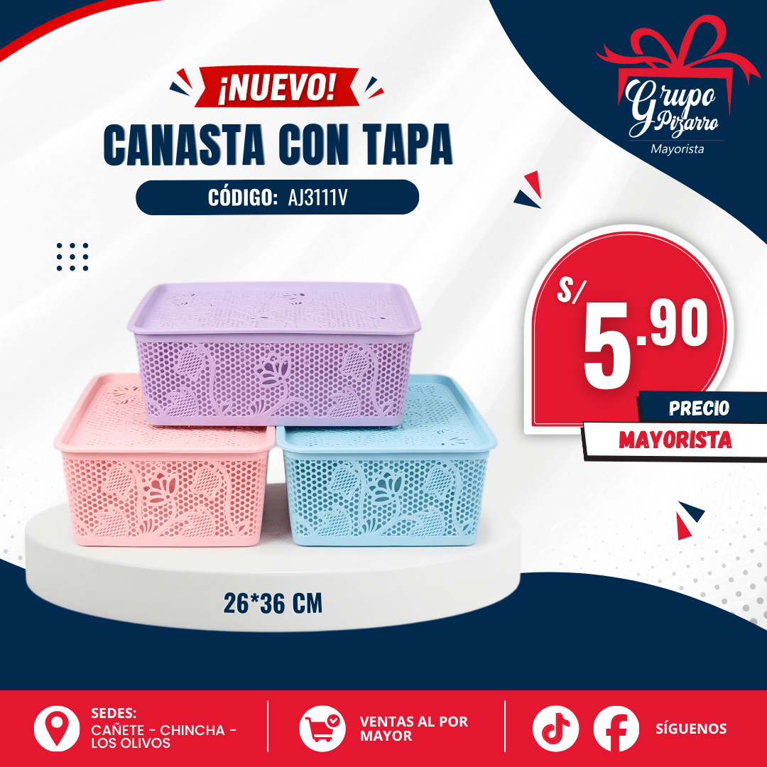 CANASTA CON TAPA 26*36CM1