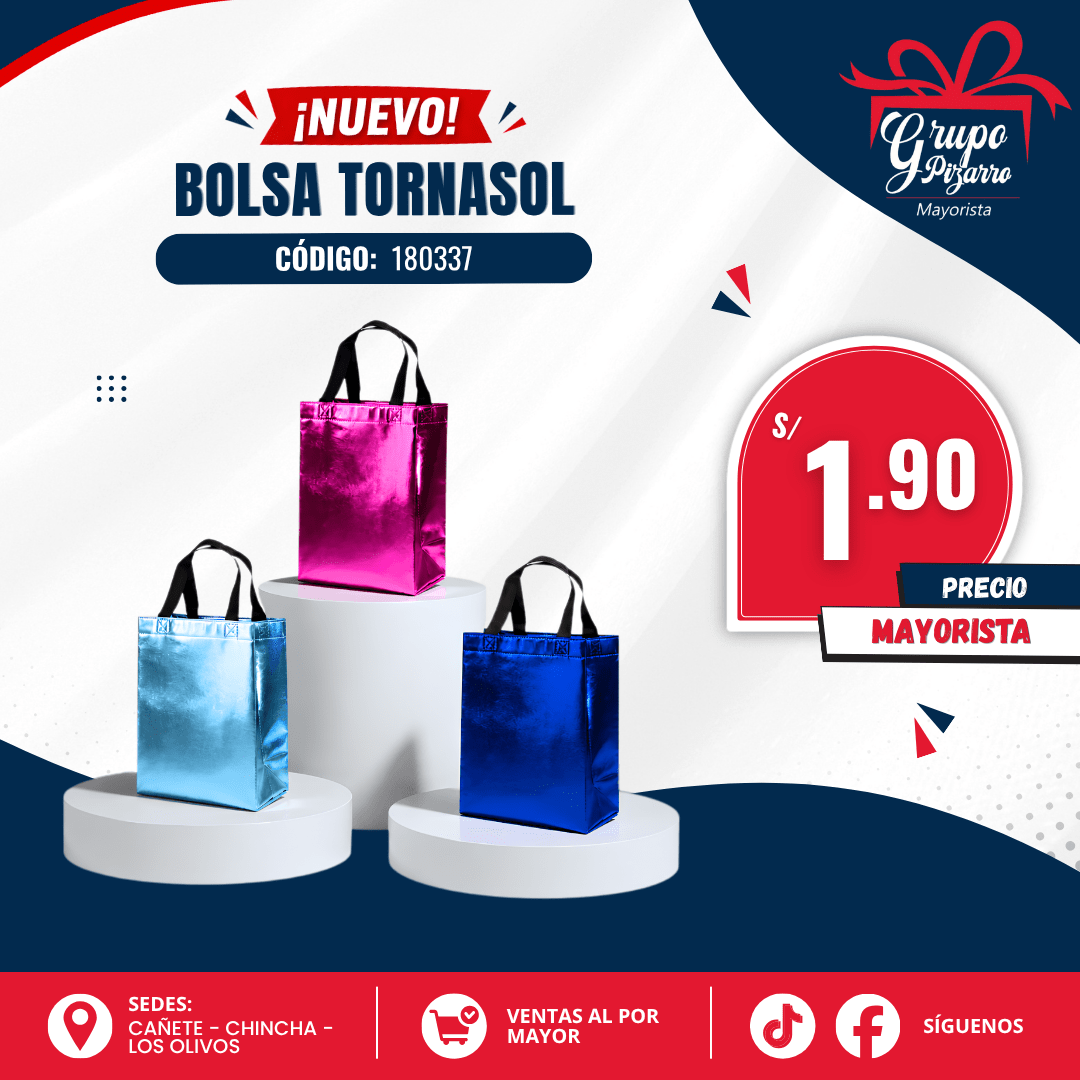 BOLSA COMPRAS2