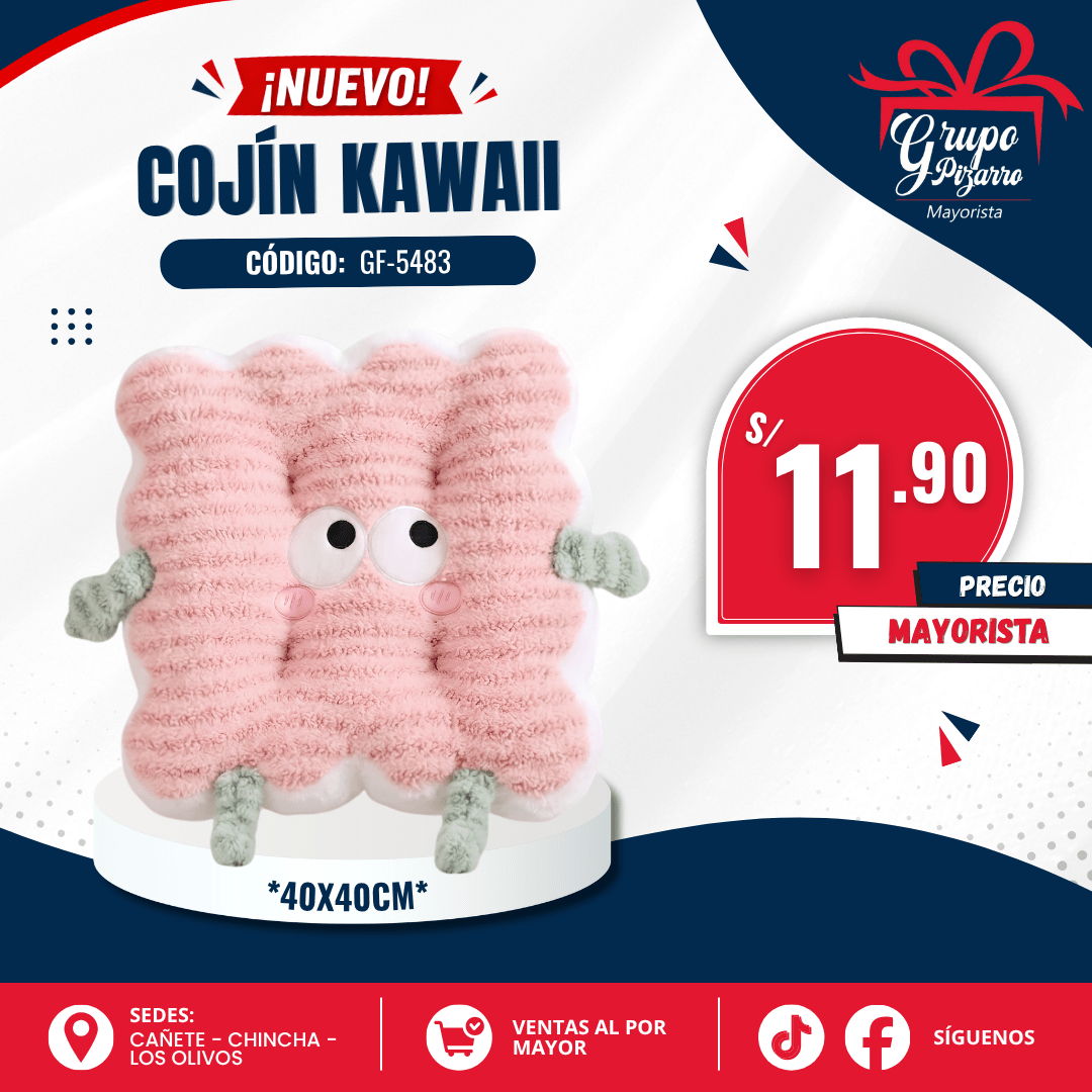 COJIN GALLETA1