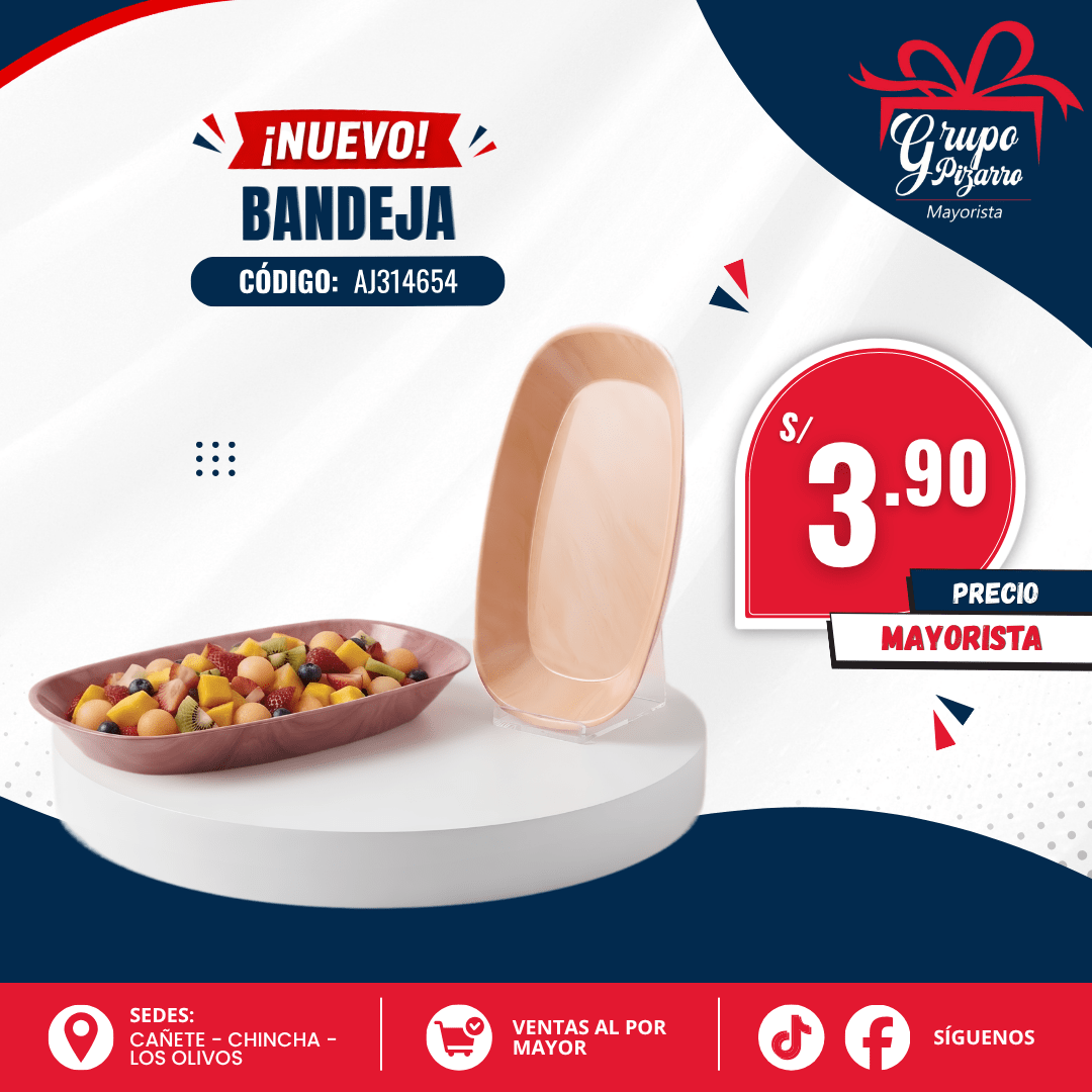 BANDEJA  AJ3146542