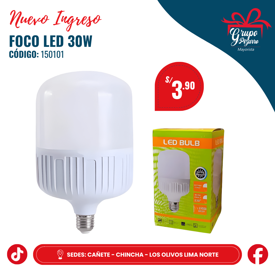 FOCO 30W - LED BULB1