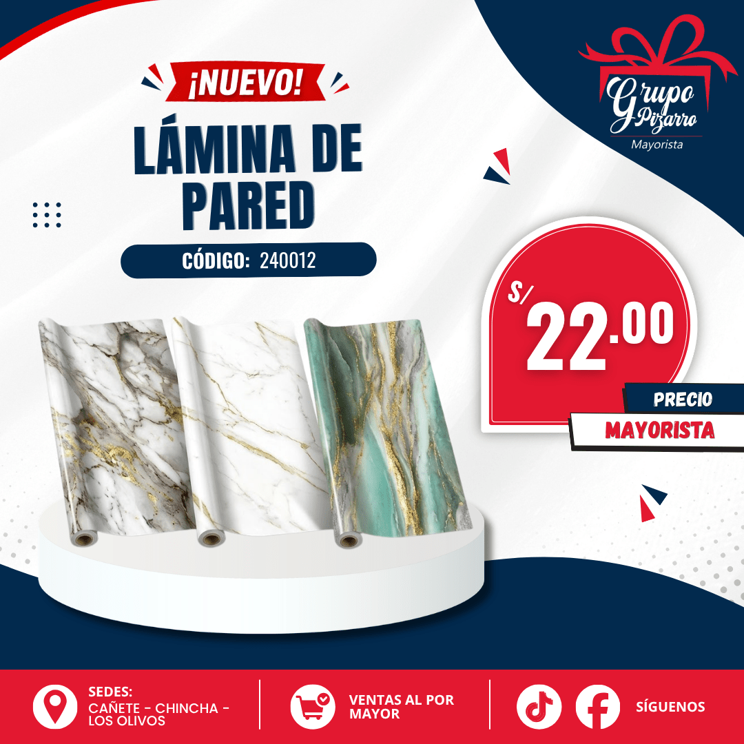 LAMINA PARED2