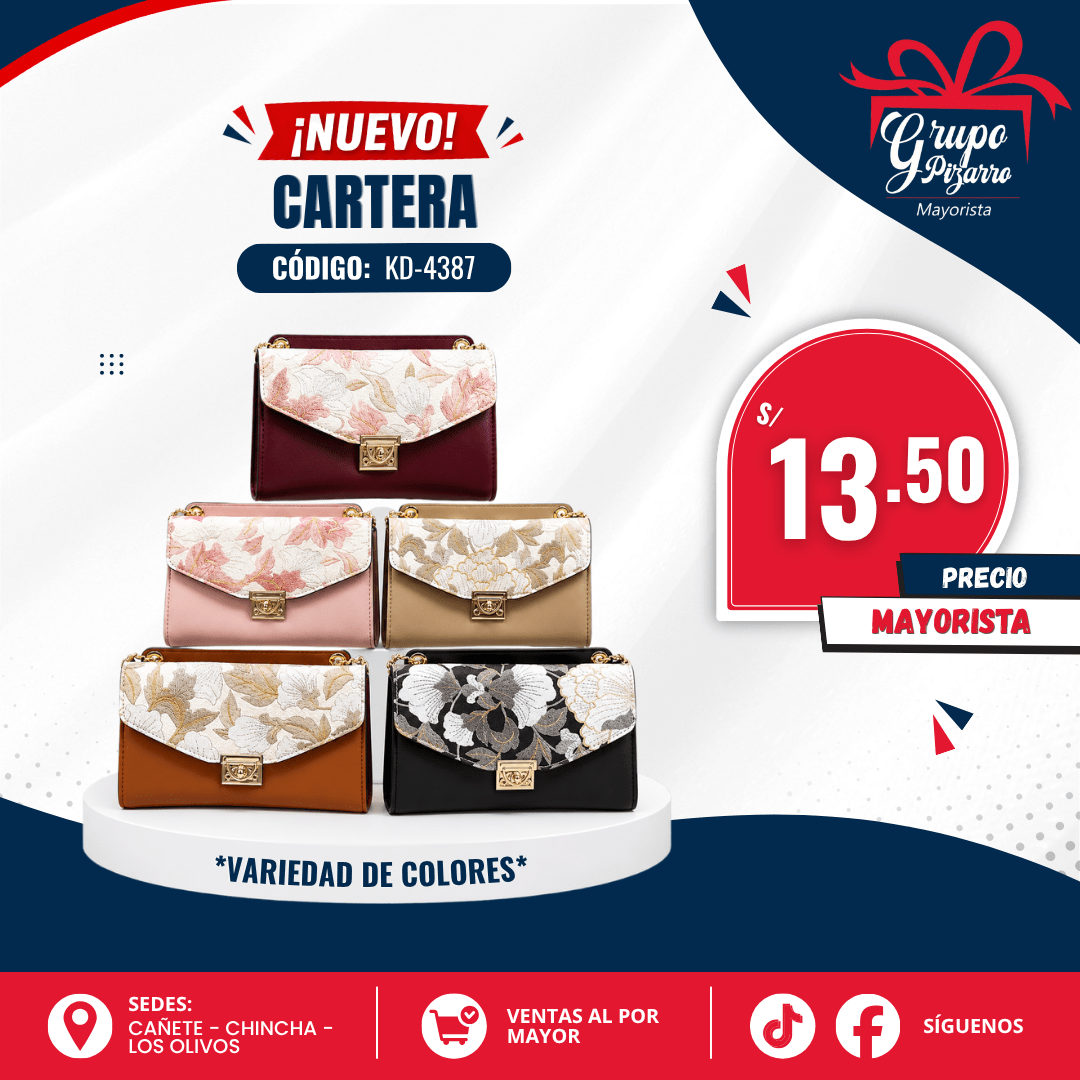 CARTERA DAMA1