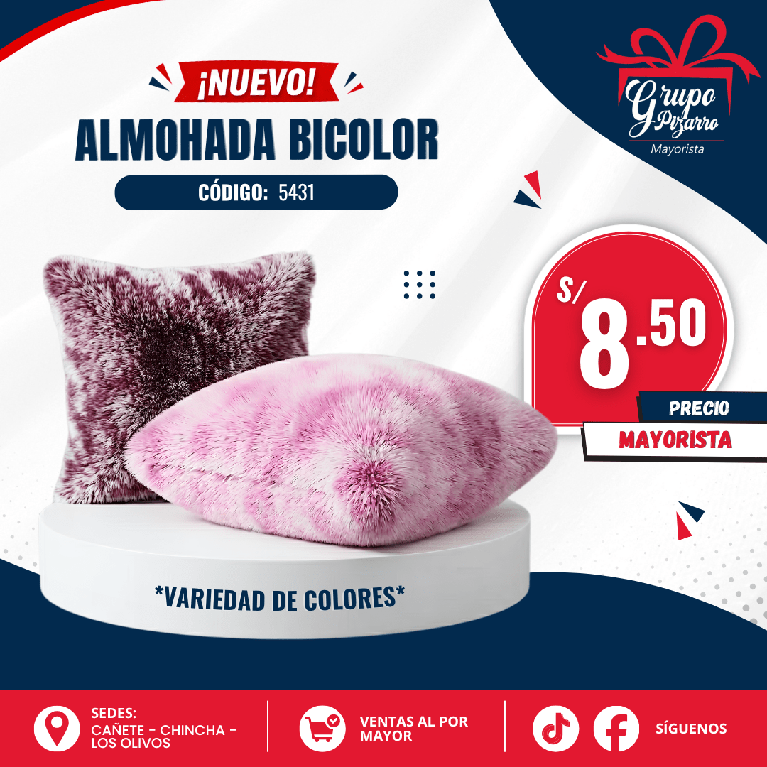 COJIN PELUCHE NV1