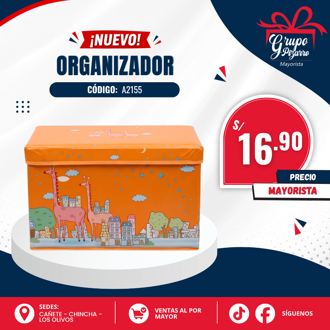 CAJA ORGANIZADORA 551